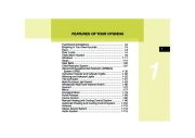 2010 Hyundai Sonata Owners Manual, 2010 page 14