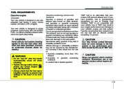 2010 Hyundai Elantra Owners Manual, 2010 page 10