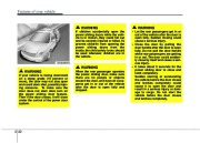 2009 Kia Sedona Owners Manual, 2009 page 31