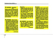 2009 Kia Sedona Owners Manual, 2009 page 47